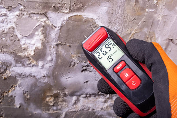 Best Office Mold Removal Services  in Monticello, GA