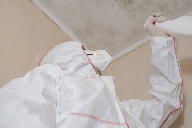 Best Crawl Space Mold Removal  in Monticello, GA