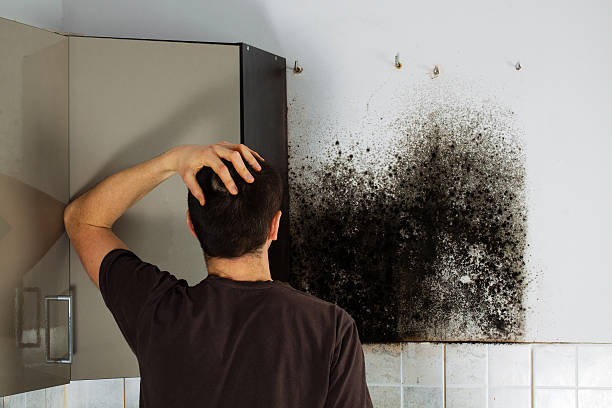 Best Home Mold Removal  in Monticello, GA